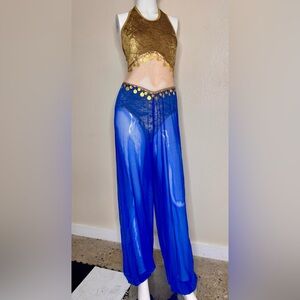 Belly Dancer Arabian Princess costume